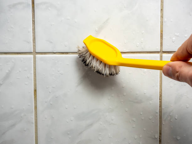 Best Home Mold Removal  in Parole, MD