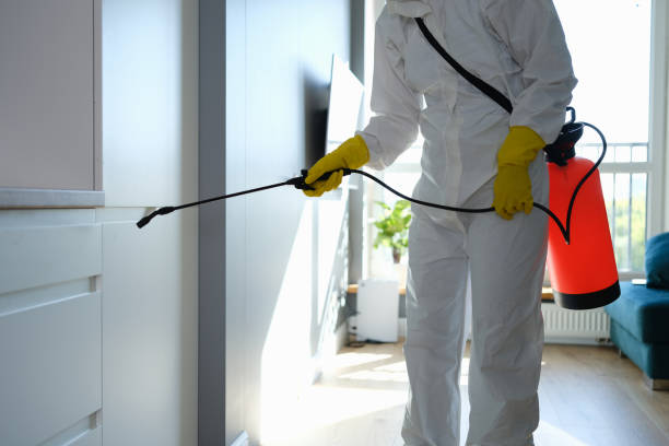 Best Mold Removal and Inspection  in Parole, MD