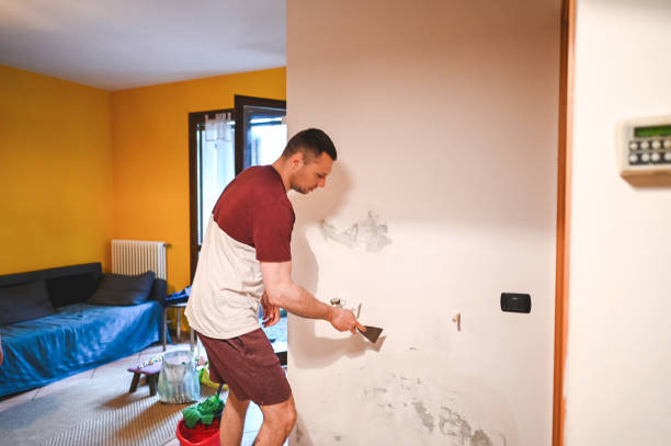 Best Commercial Mold Removal  in Parole, MD